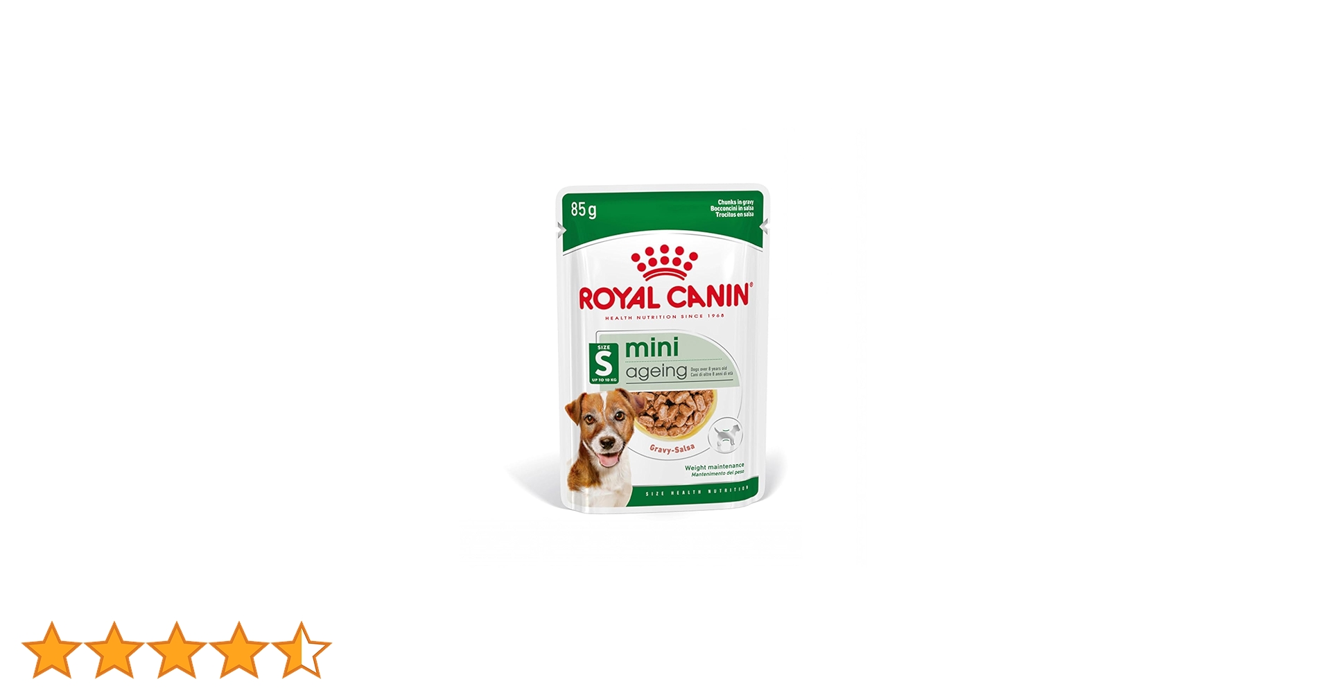 61+5JIkWIFL.jpg_BO30,255,255,